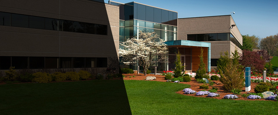 Saint Ann Landscapers