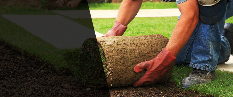 Saint Ann Landscapers